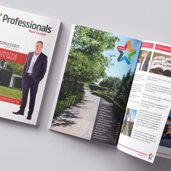 Professionals Real Estate