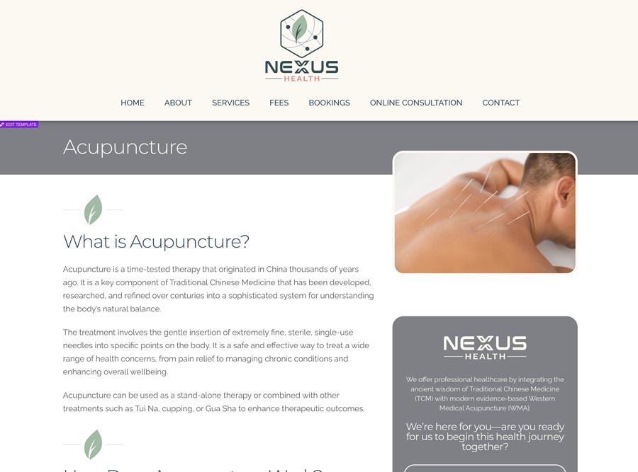 Acupuncture needles for health, pain relief & wellness, traditional Chinese medicine Auckland NZ.