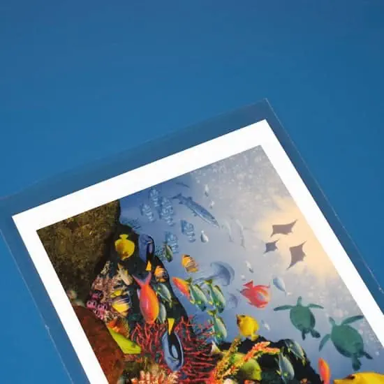 2W x 3L, 1.6 Mil Flat Open End Cello Bags