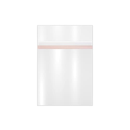 4 1/8W x 5 3/8L, 1.6 Mil Lip & Tape Bags with External Adhesive