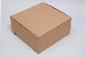 10x10x6-kraft-bakery-box