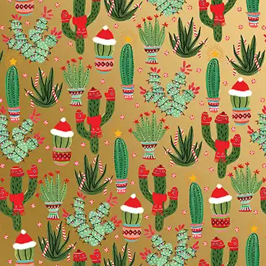 christmas cactus