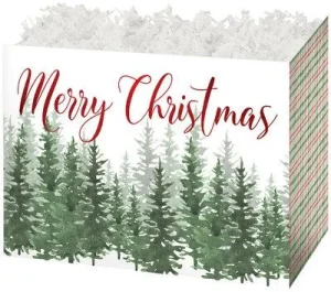 evergreen christmas