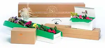 flower boxes