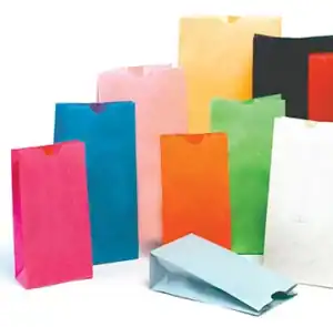 Stand Up Colored Paper Bags