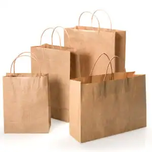Brown Kraft Paper Bags with Twisted Paper Handle