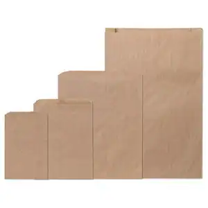 Flat Plain Brown Kraft Merchandise Bags