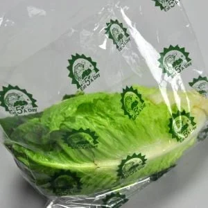 Lettuce5ADay.jpg