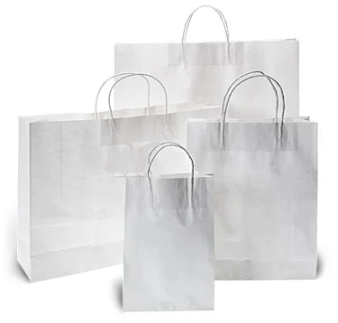 White-Kraft-Paper-Bags-with-Twisted-Paper-Handle.webp
