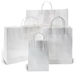 White Kraft Paper Bags with Twisted Paper Handle