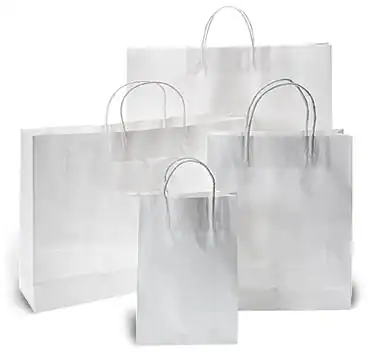 White Kraft Paper Bags with Twisted Paper Handles
