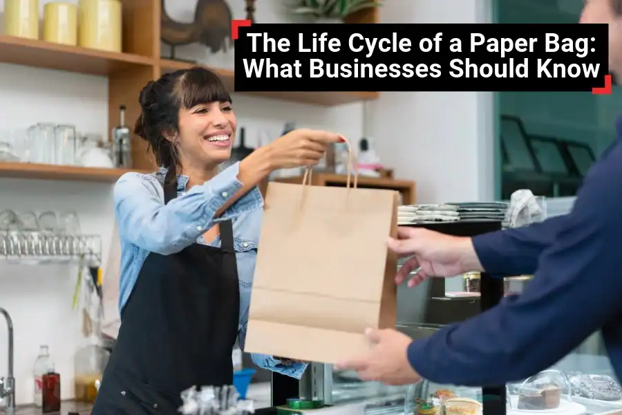The Life Cycle of a Paper Bag: What Businesses Should Know