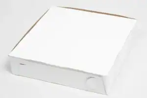 Customizable 12x12x2 lock corner pizza box with FDA-approved claycoat finish.