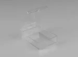 Rigid Hinged Plastic Boxes - 2-3/32 x 3.00"