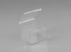 Rigid Hinged Plastic Boxes - 2-9/16 x 2-9/16"