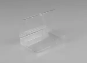 Rigid Hinged Plastic Boxes - 3-1/2 x 2-9/16"