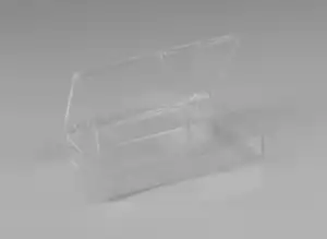 Rigid Hinged Plastic Boxes - 4-5/8 x 2-7/8"