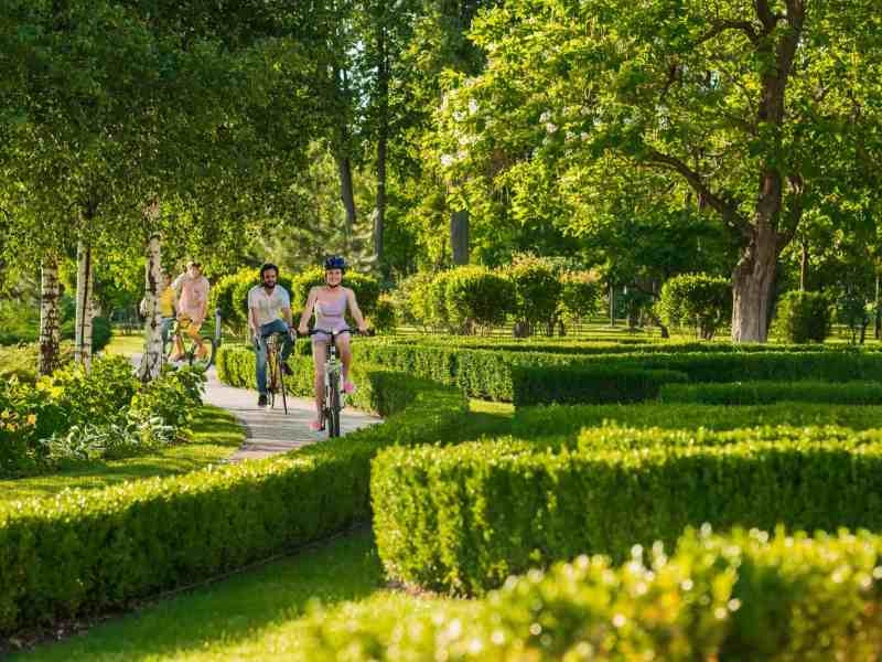 Young couple enjoying cycling through park in summer