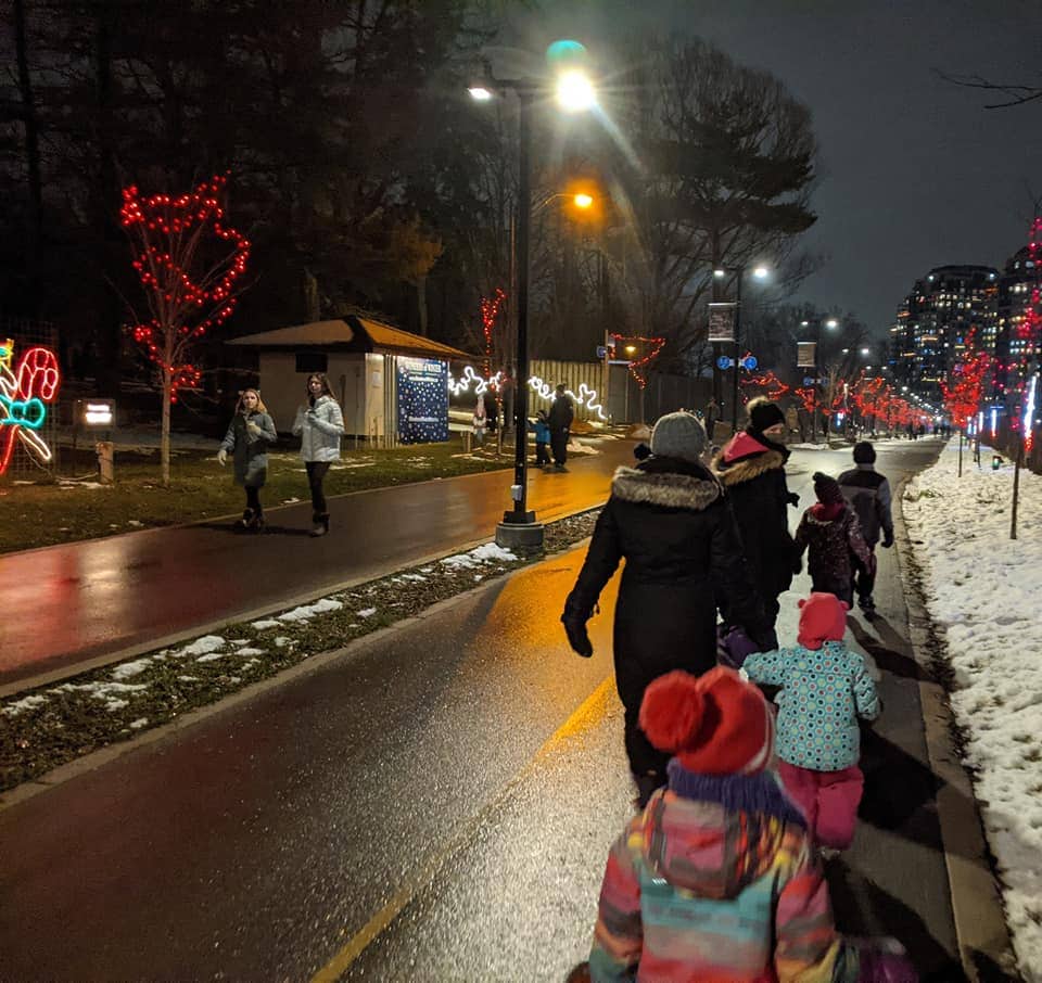 Visitors at the Wonders of Winter Festival