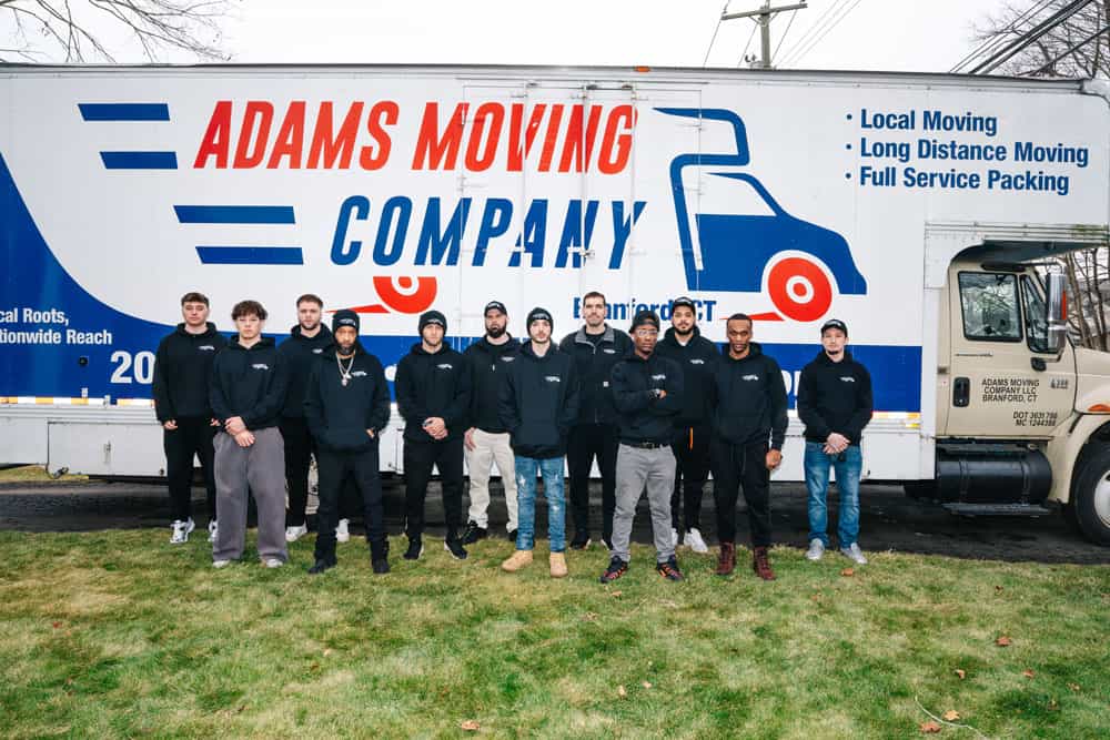 our team