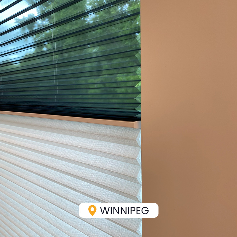 Bright white and black window blinds partially open, allowing natural light to enter the room.