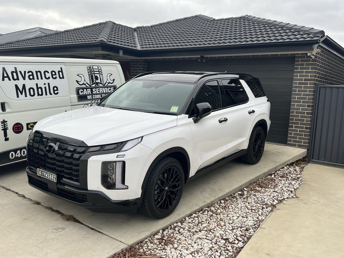 2023 Hyundai Palisade 30000km logbook service in Throsby Canberra