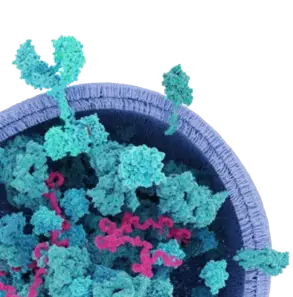 properties of exosomes