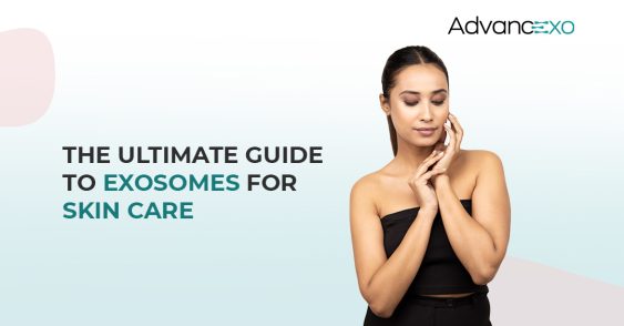 Plant vs. ASC vs. WJ-MSC Exosomes for Skin Care: A Comparative Analysis