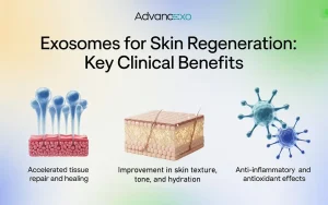 Exosomes-for-Skin-Regeneration
