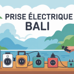 illustration voyageur prise electrique bali