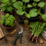 outils jardinier facile sur plan de travail