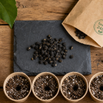 Quand semer les belles de nuit : graines en godets, profondeur 1–2 cm