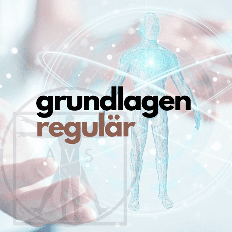 grundlagen regulär