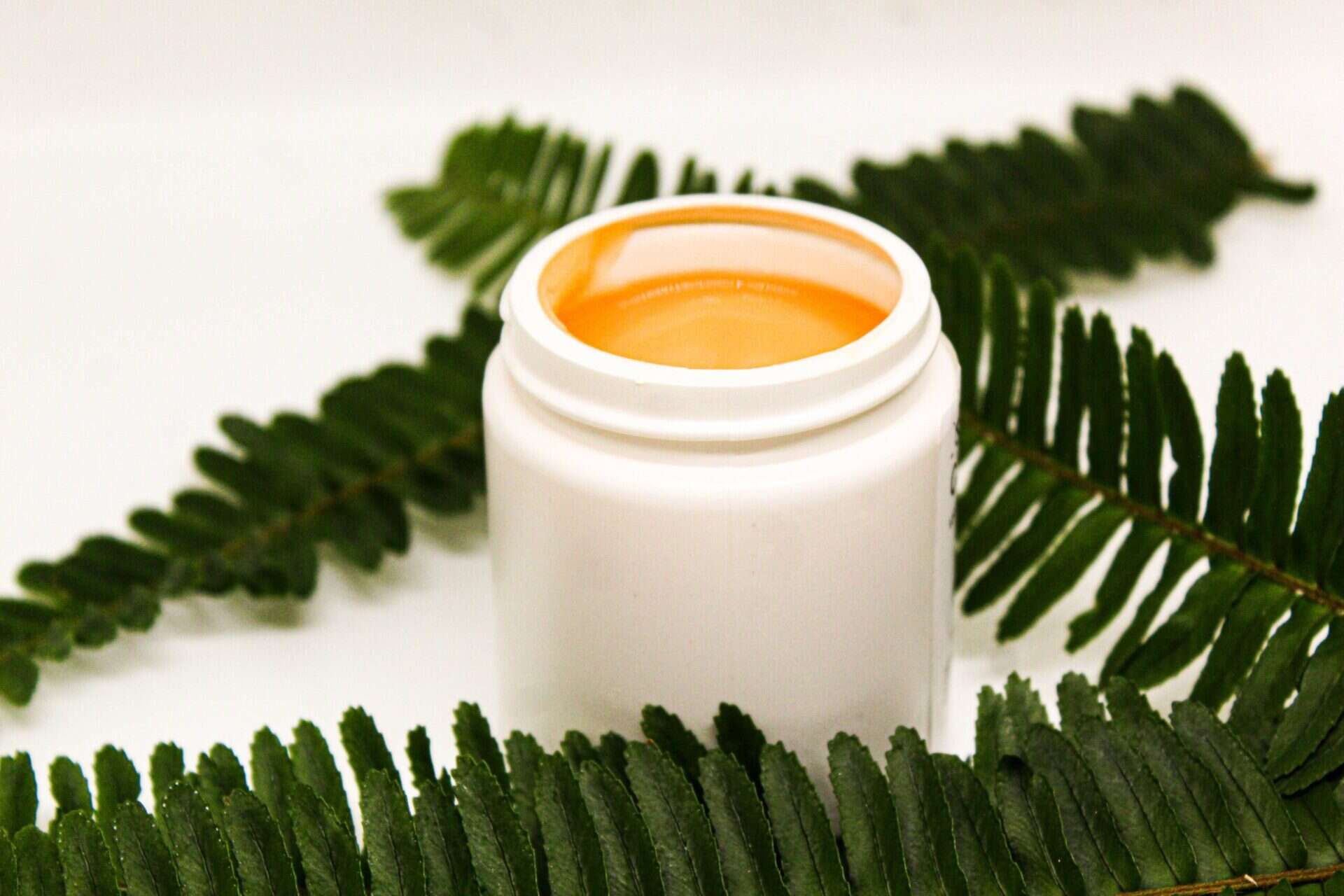 B14D729E-8817-49F2-BFB3-0C68AADBA834