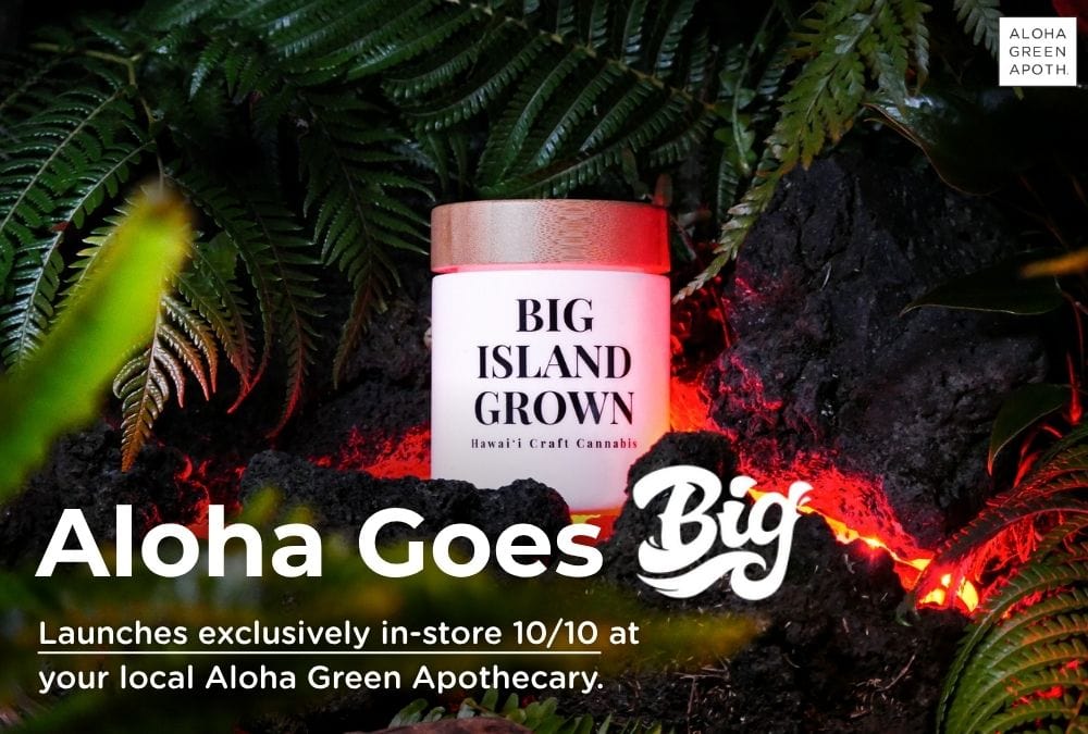 A glowing Big Island Grown cannabis jar surrounded by lava rock and lush green ferns, with the headline “Aloha Goes BIG” and text announcing the 10/10 in-store launch at Aloha Green Apothecary.