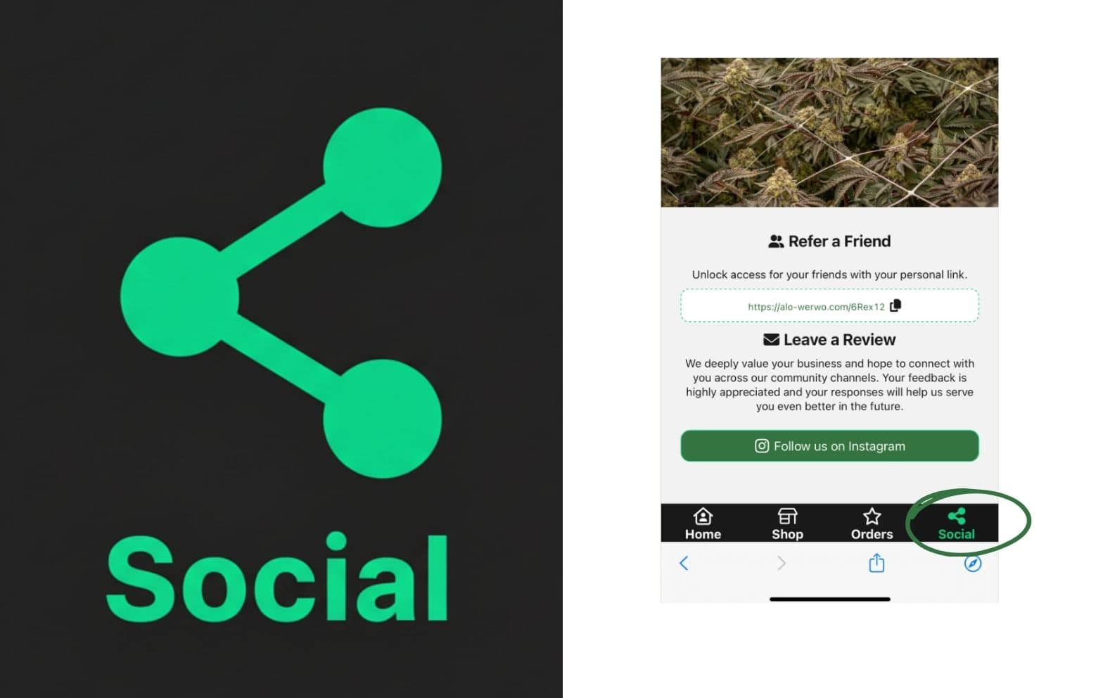 Aloha Green Apothecary