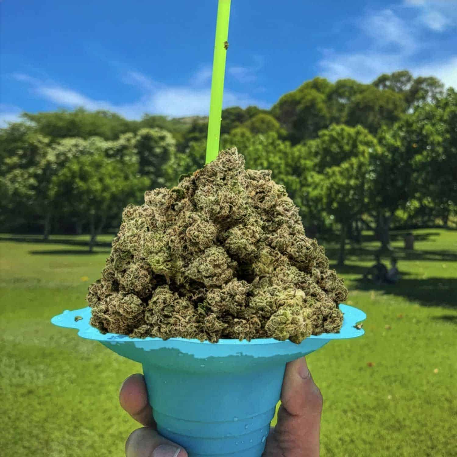 Aloha Green Apothecary