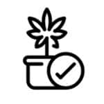 Aloha Green Apthecary