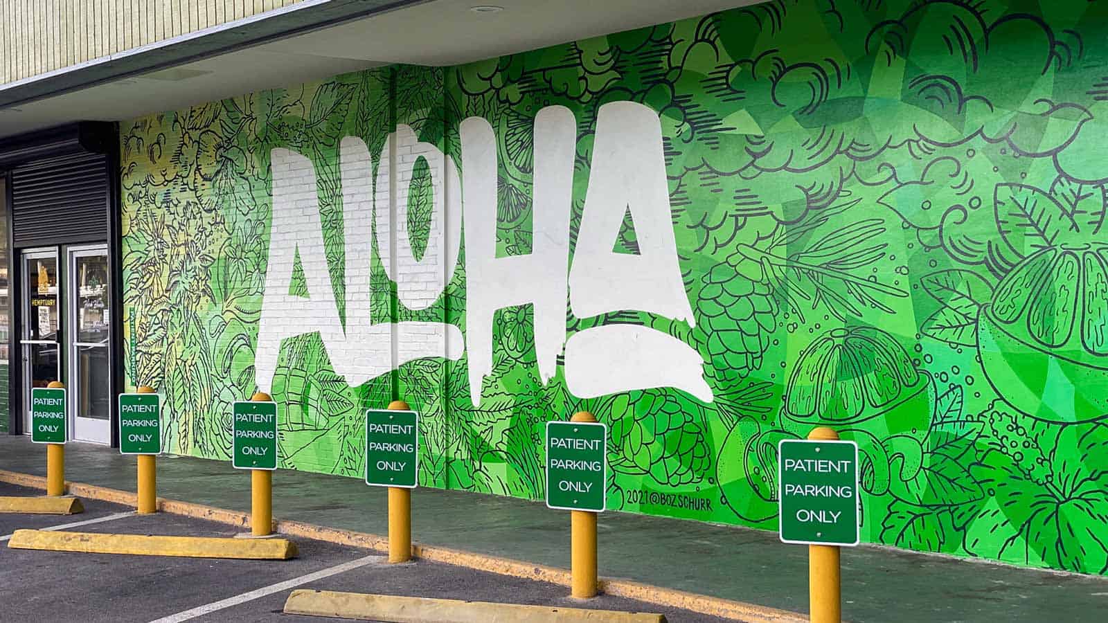 Auntie Aloha-Hawaiian Guava Haze | Aloha Green Herb House