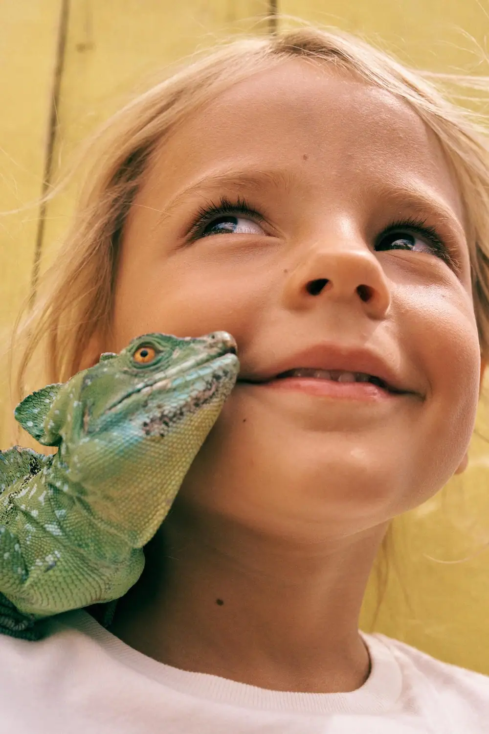 Luke Kuisis Kids Photographer Cape Town South Africa