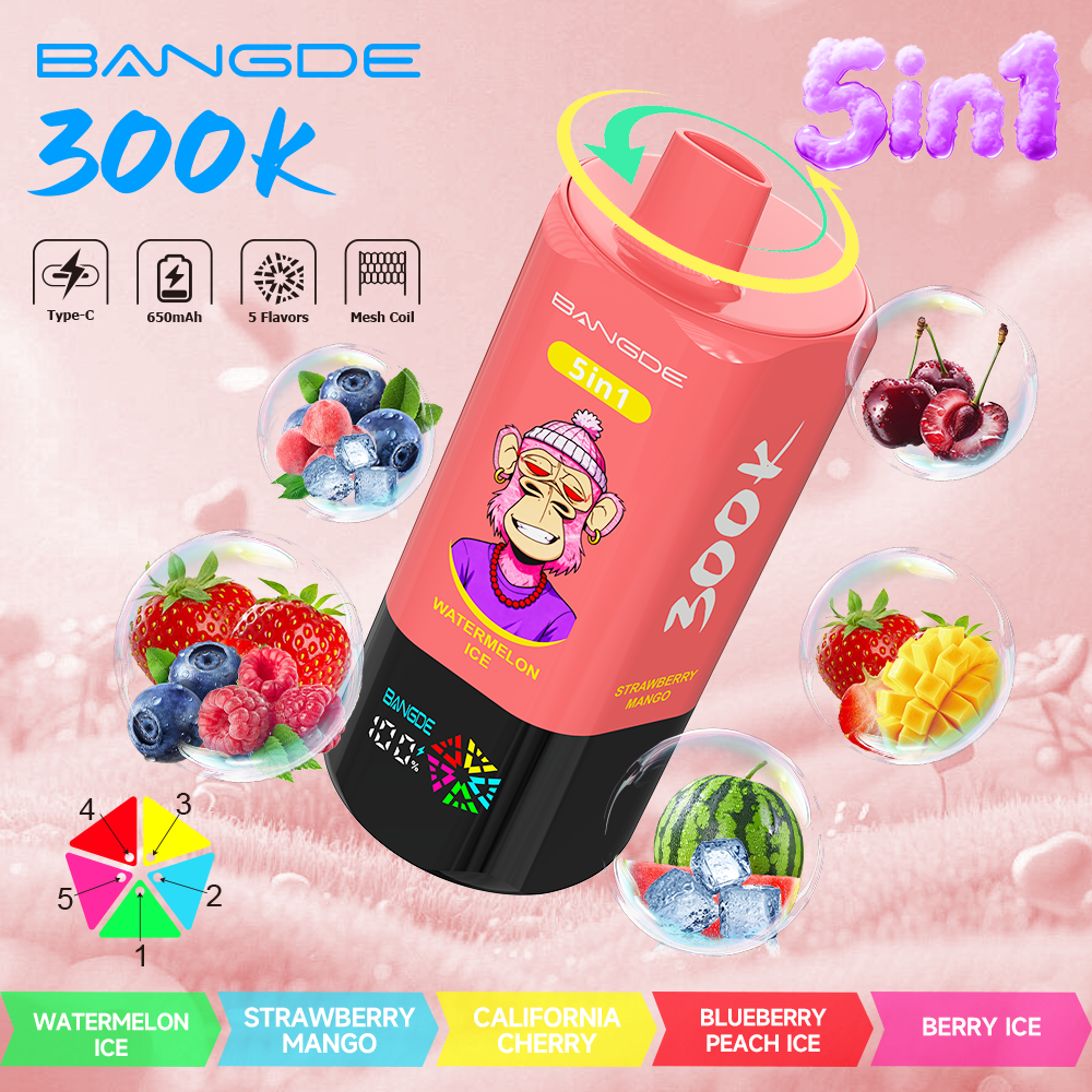 Bang DE 300K