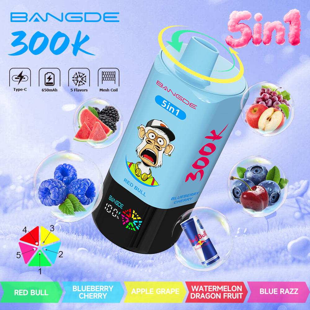 Bang DE 300K – Bild 3