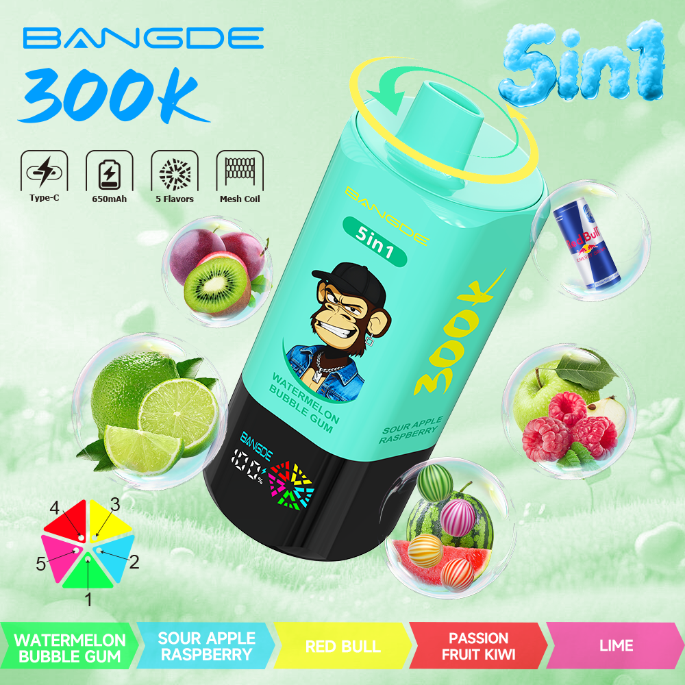Bang DE 300K – Bild 5