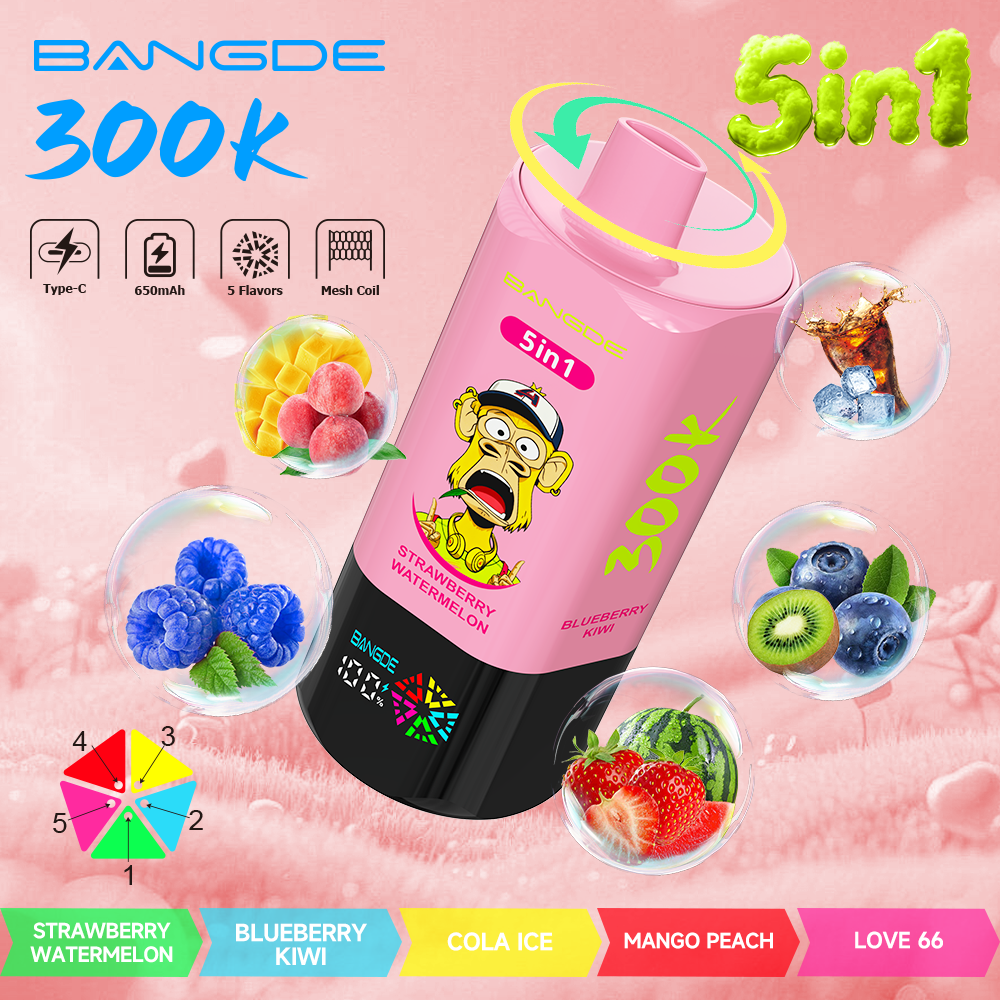 Bang DE 300K – Bild 6
