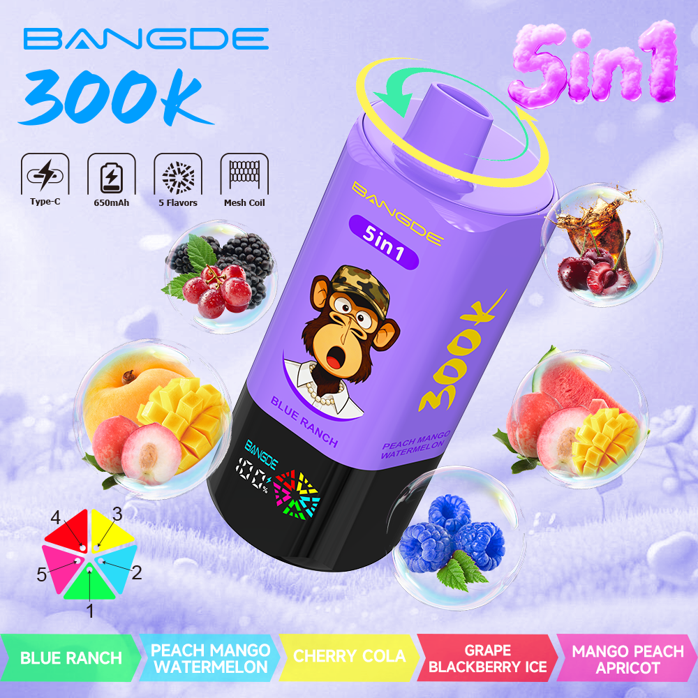 Bang DE 300K – Bild 7