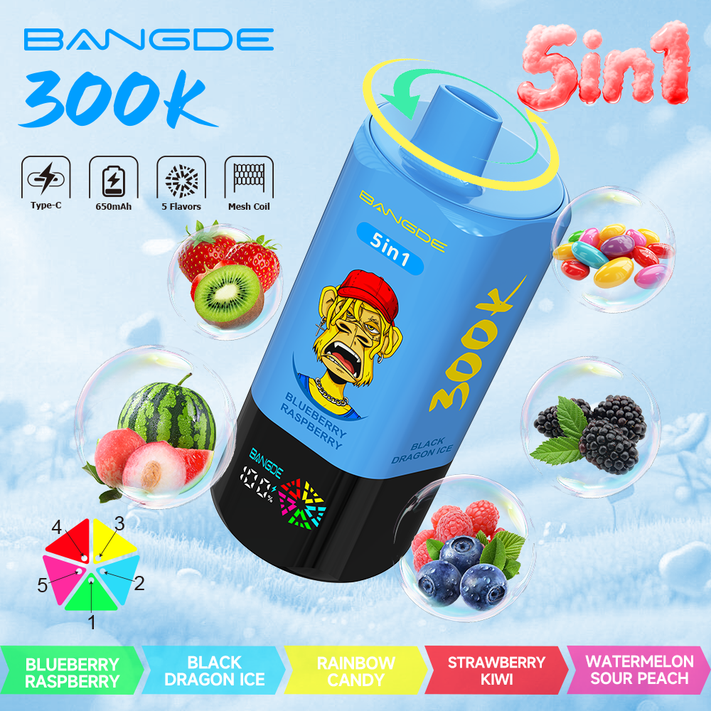 Bang DE 300K – Bild 10
