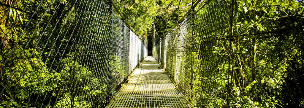 Mistico Arenal Hanging Bridges & Hot Springs