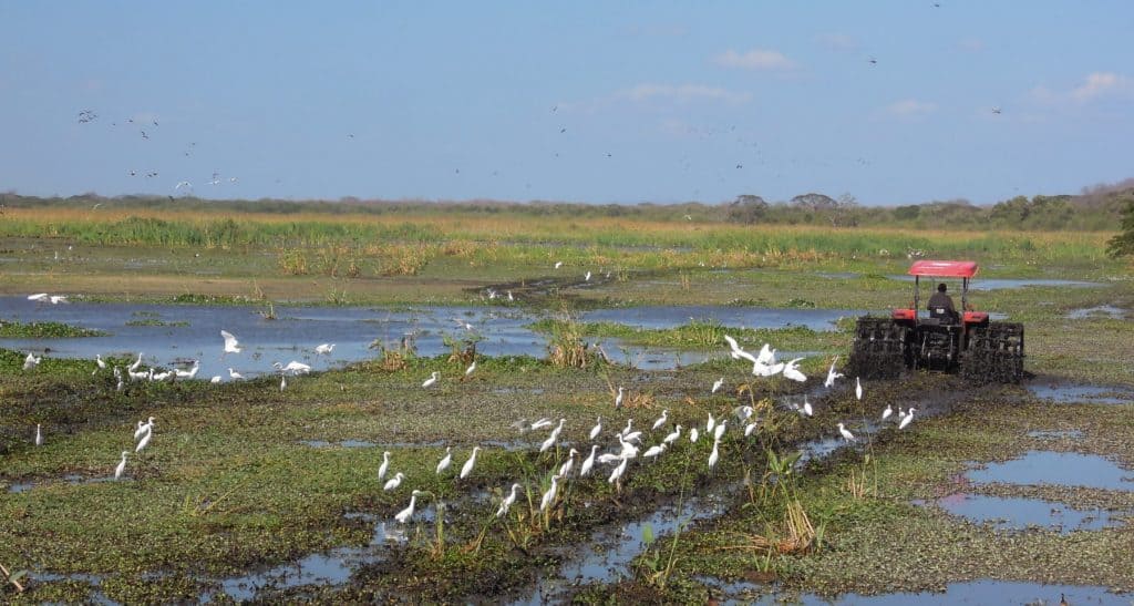 Costa Rica private driver