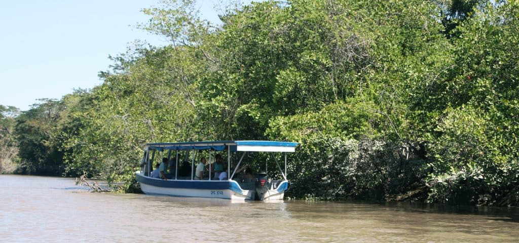 Palo Verde Boat Tour