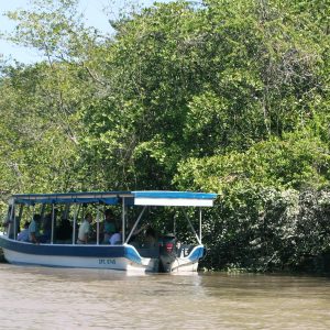 palo verde boat tour
